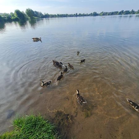 Ferienhaus Am See-2 Hungen ภายนอก รูปภาพ