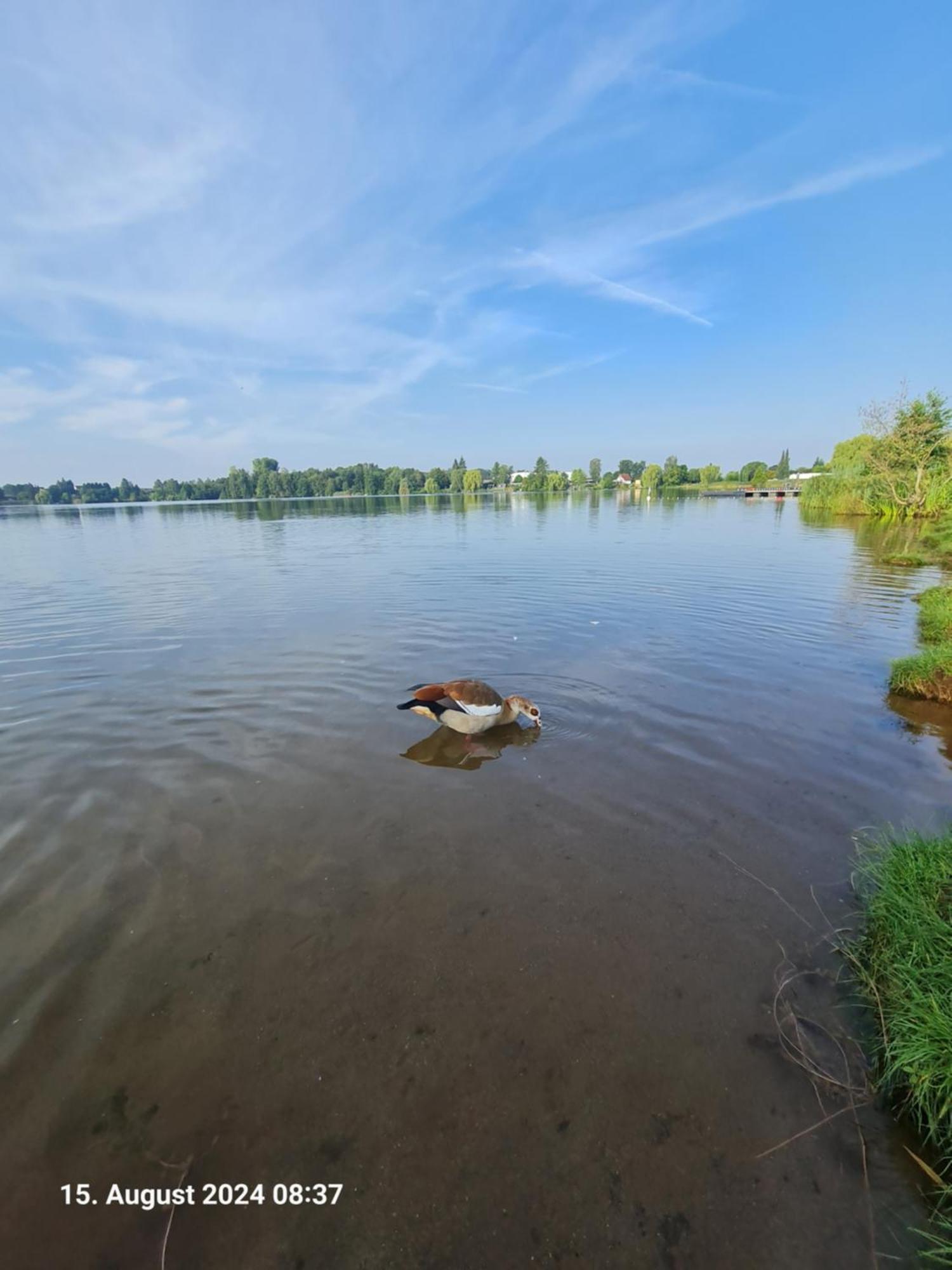 Ferienhaus Am See-2 Hungen ภายนอก รูปภาพ